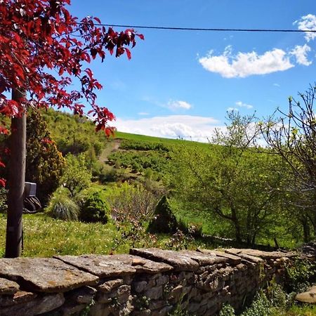 Hotel Agriturismo Locanda dei Cacciatori Dogliani Esterno foto